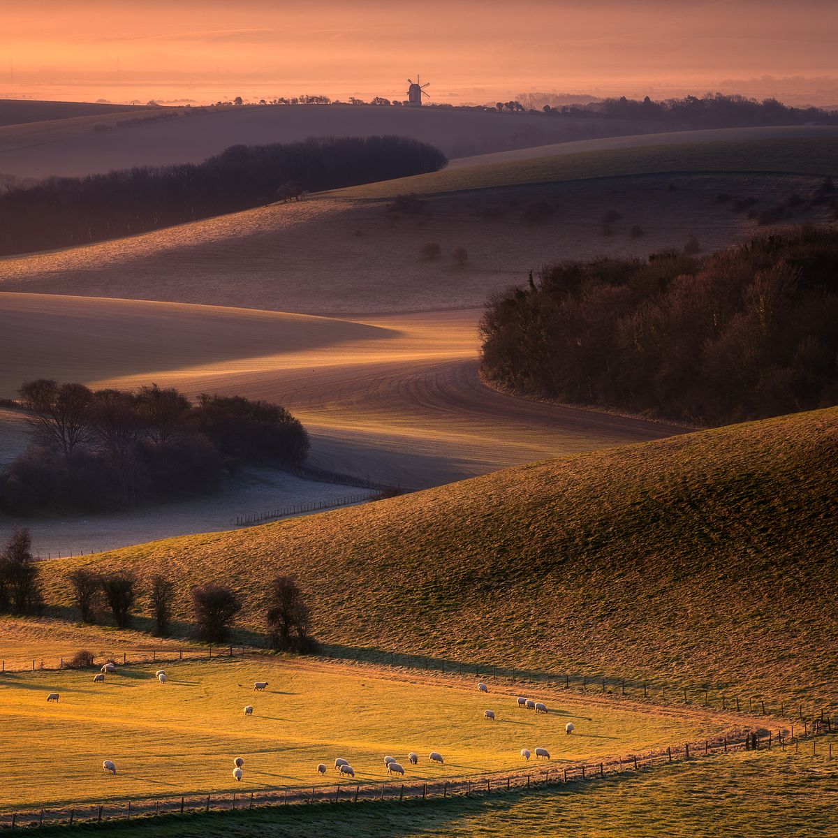 Highly Commended In Landscape Photographer Of The Year 2023