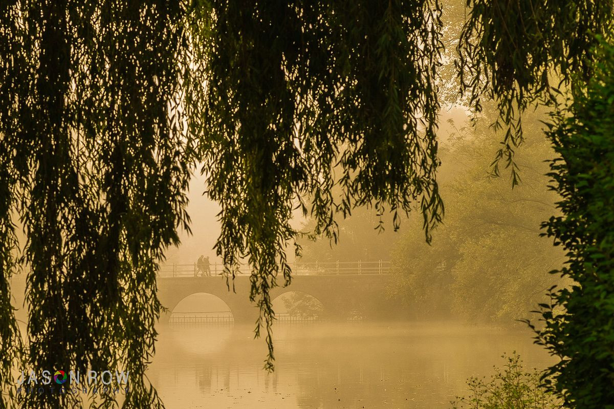 Misty morning in Minnewater, Bruges