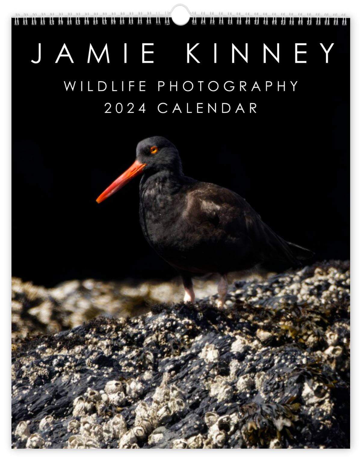 2024 Wildlife Photography Calendar   CzM6Ly9waXhwYS10ZXN0L2NvbS9sYXJnZS82OTA4ODgvNjkwODg4LTE2OTkxMzYyMTQtMDAtY292ZXIucG5n