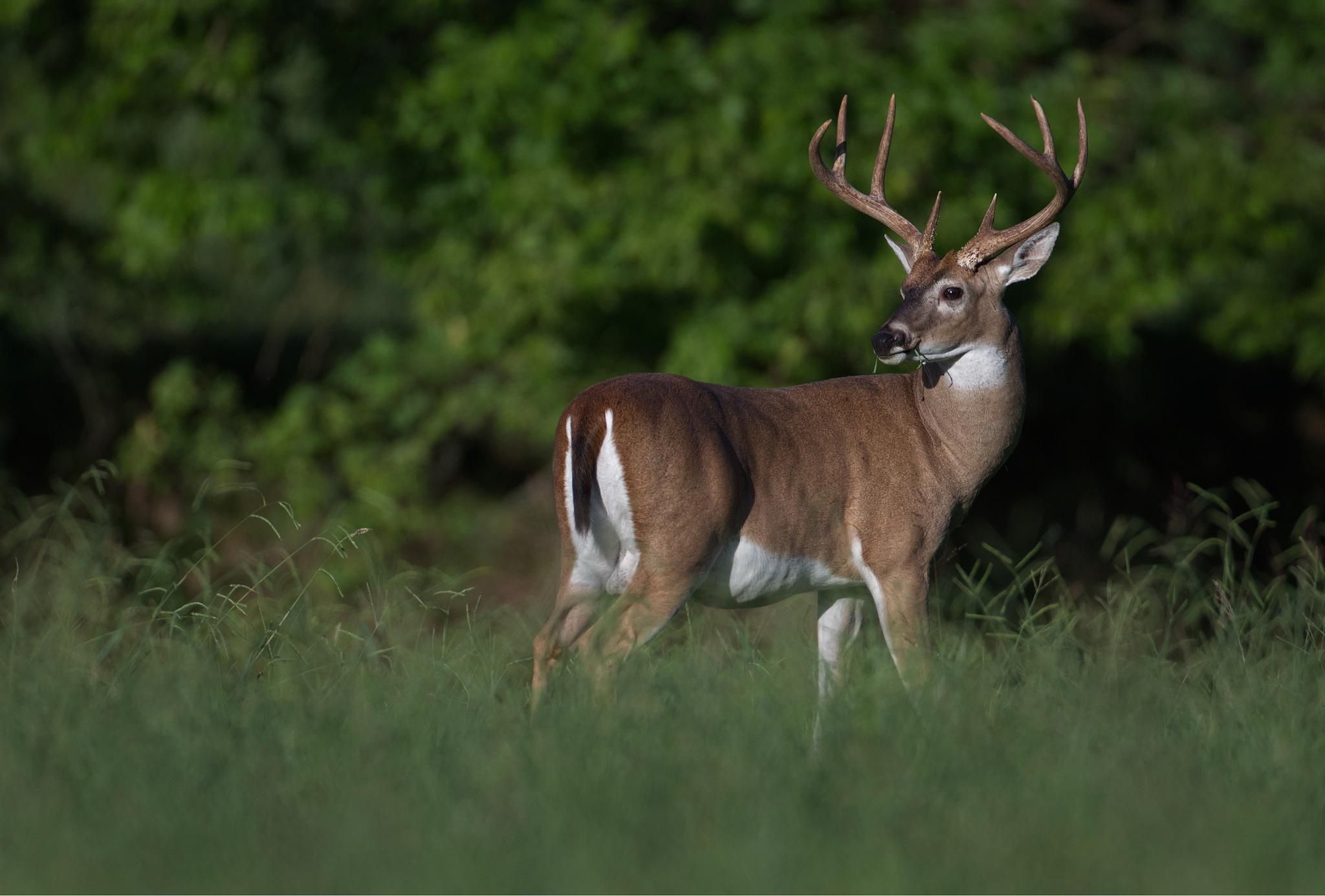 Matt Cook Photographyhttps://www.mattcookphotography.org/