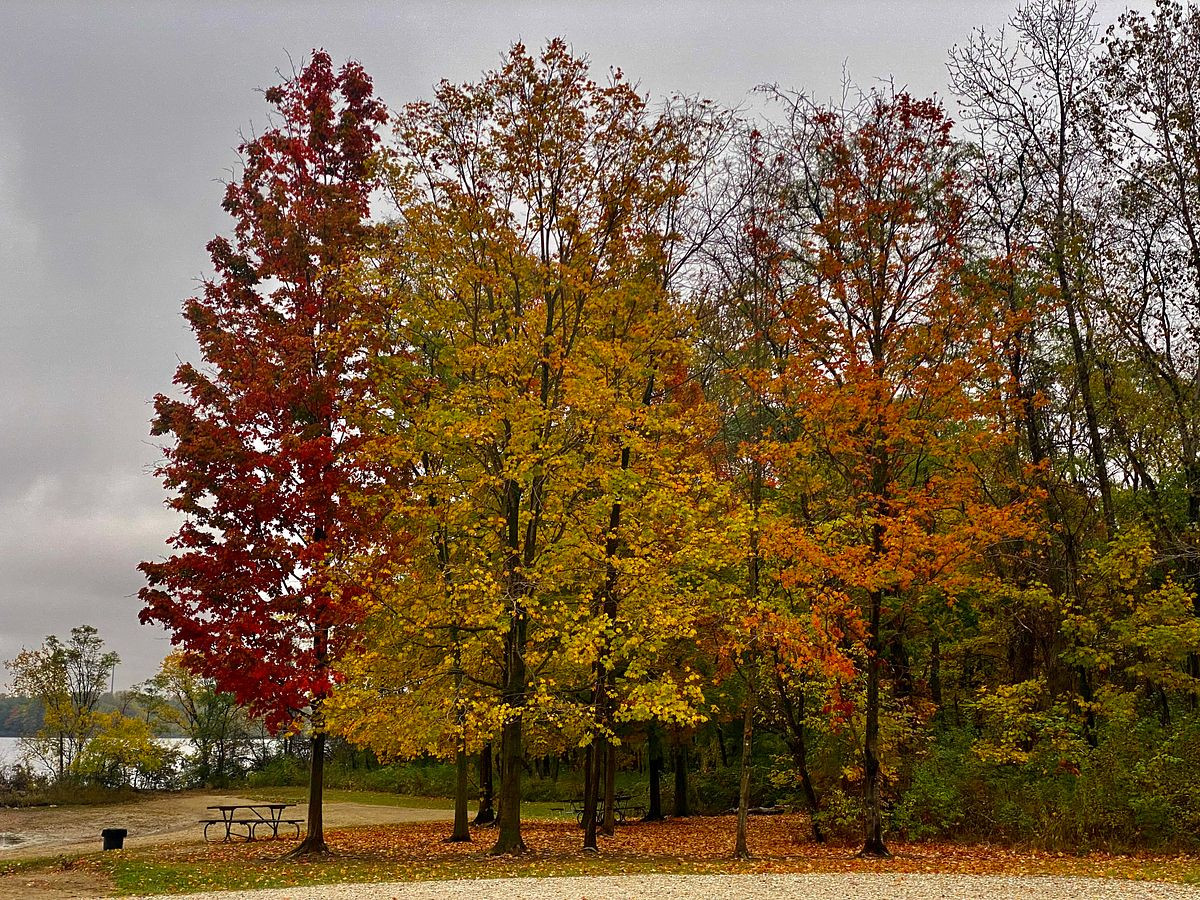 Fall at Alum Creek Park