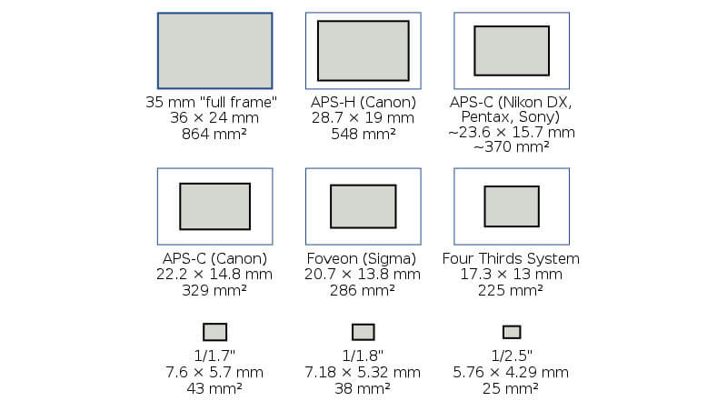 diagram showing a size comparison for how large camera sensors are.