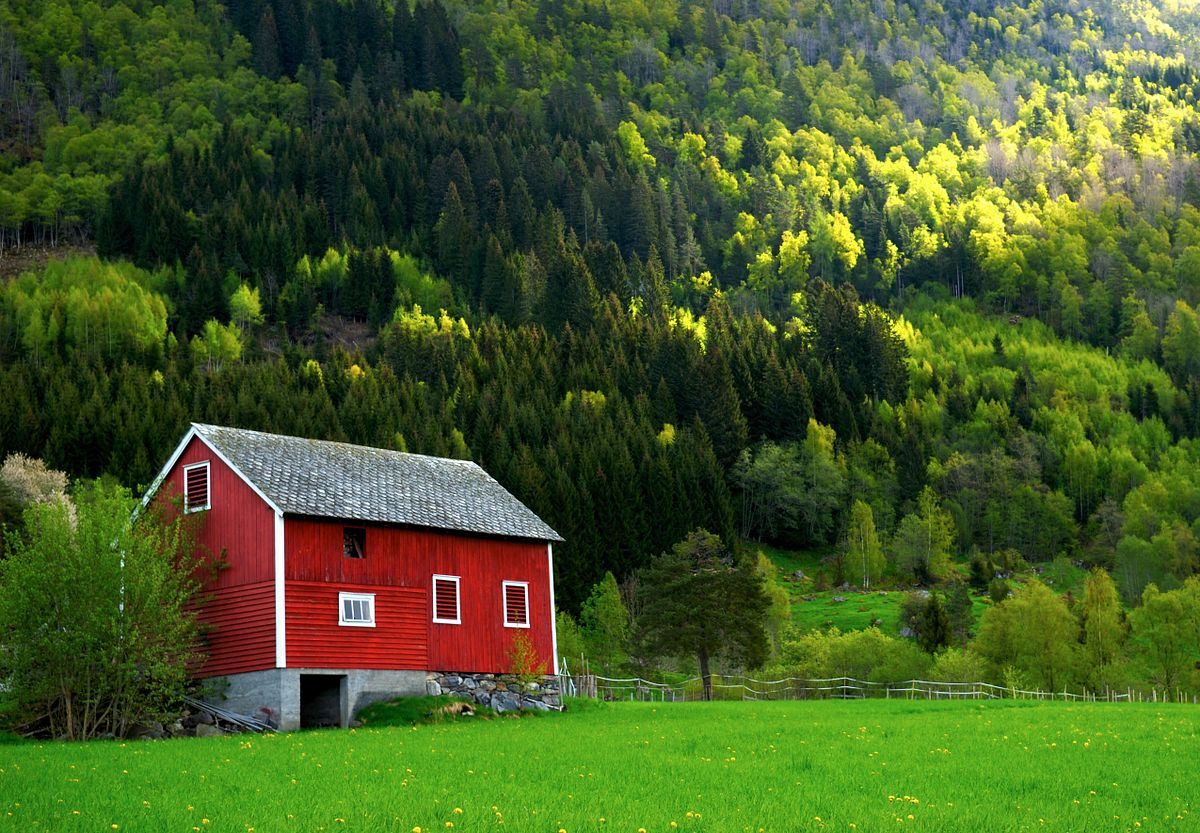 Red barn on the green hills of a fjord in Norway