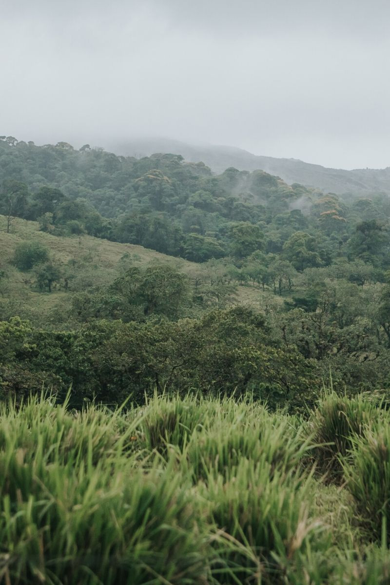 costa rica mountain wedding