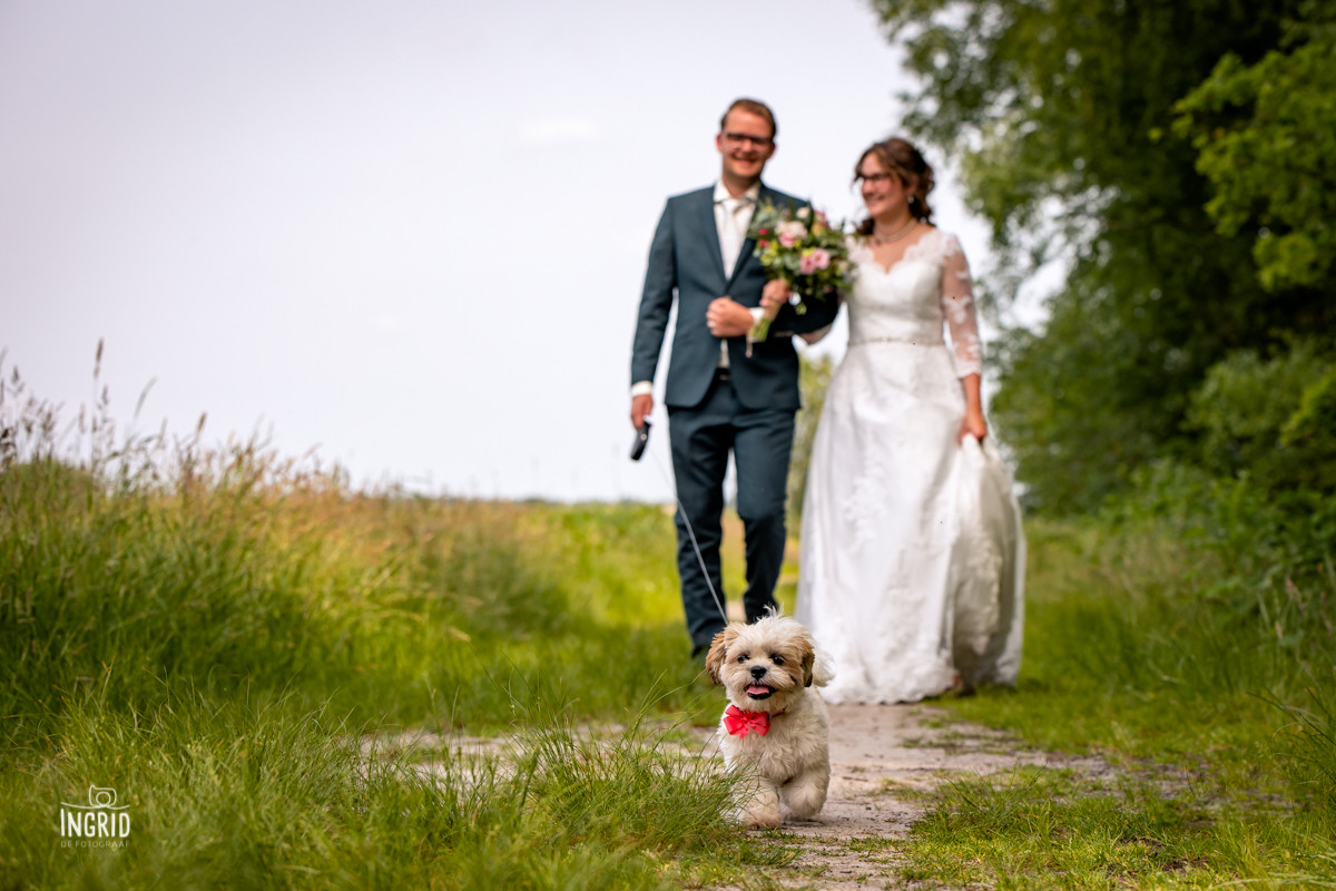 Fotoshoot bruidspaar met hond