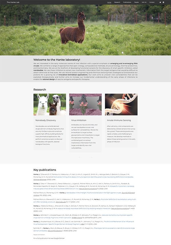 Exempel på webbplatsen Hanke Lab Portfolio