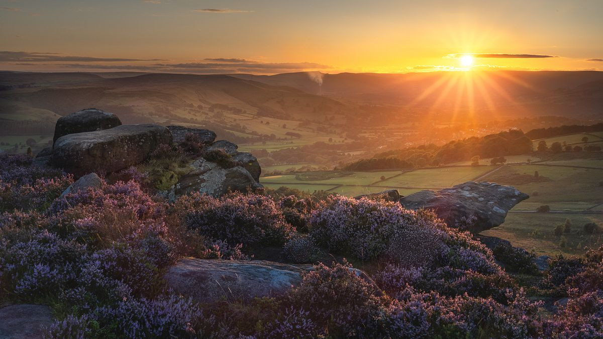 Over Owler Tor in Bloom