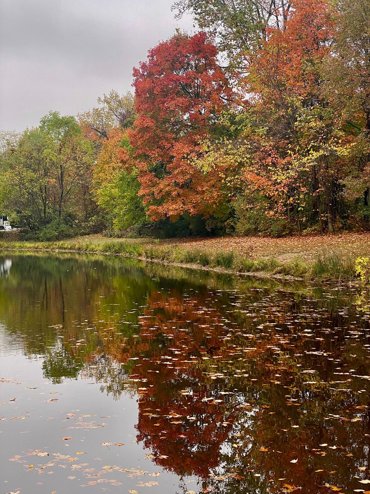 Fall at Alum Creek Park