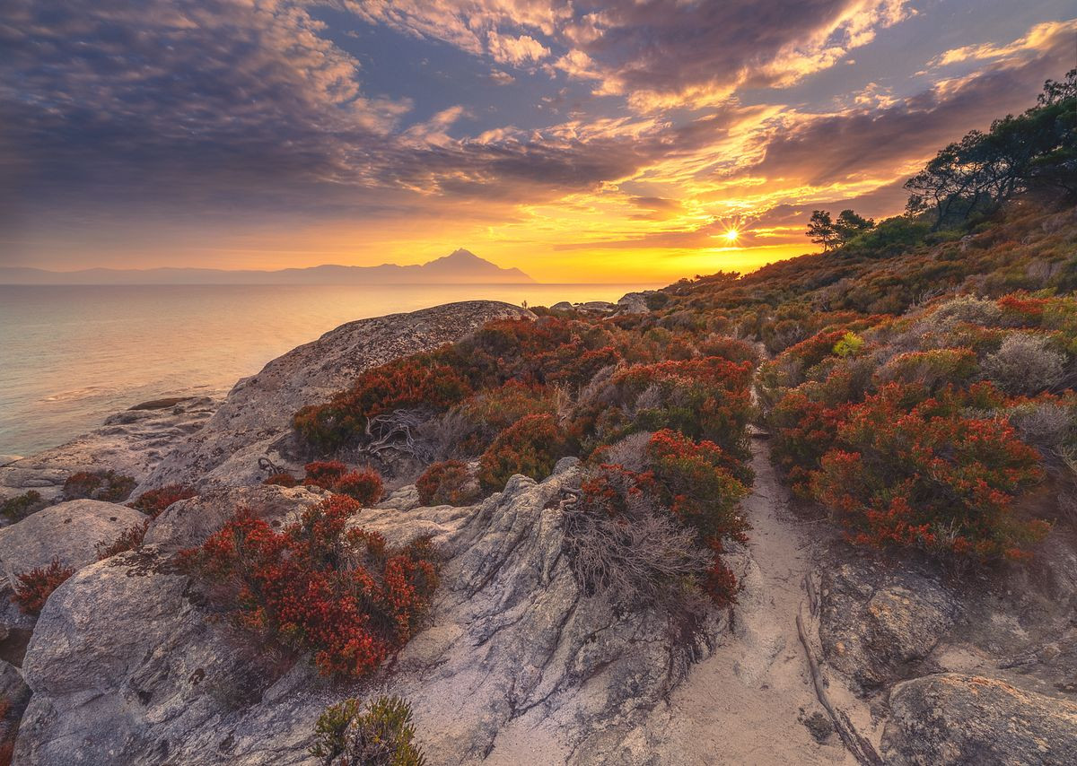 Halkidiki Heaven