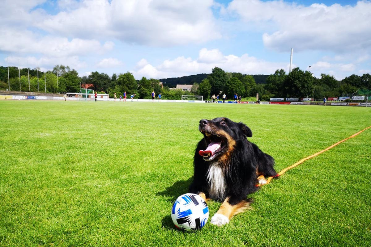 Freudige Wiedersehensmomente beim Ibbenbürener Kickers Training