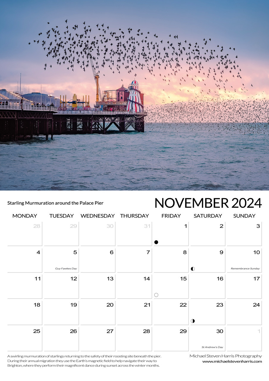 Brighton Calendar 2024 November