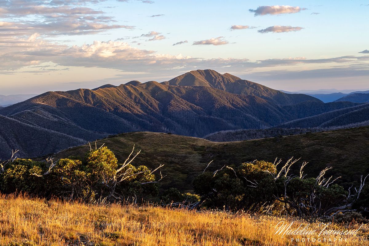 Mt Hotham in Summer