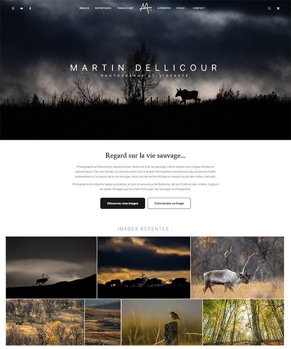 Exemplos de sites do portfólio Martin Dellicour