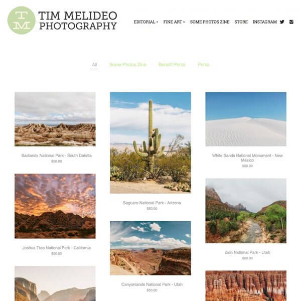 Tim Melideo ポートフォリオ Web サイトの例