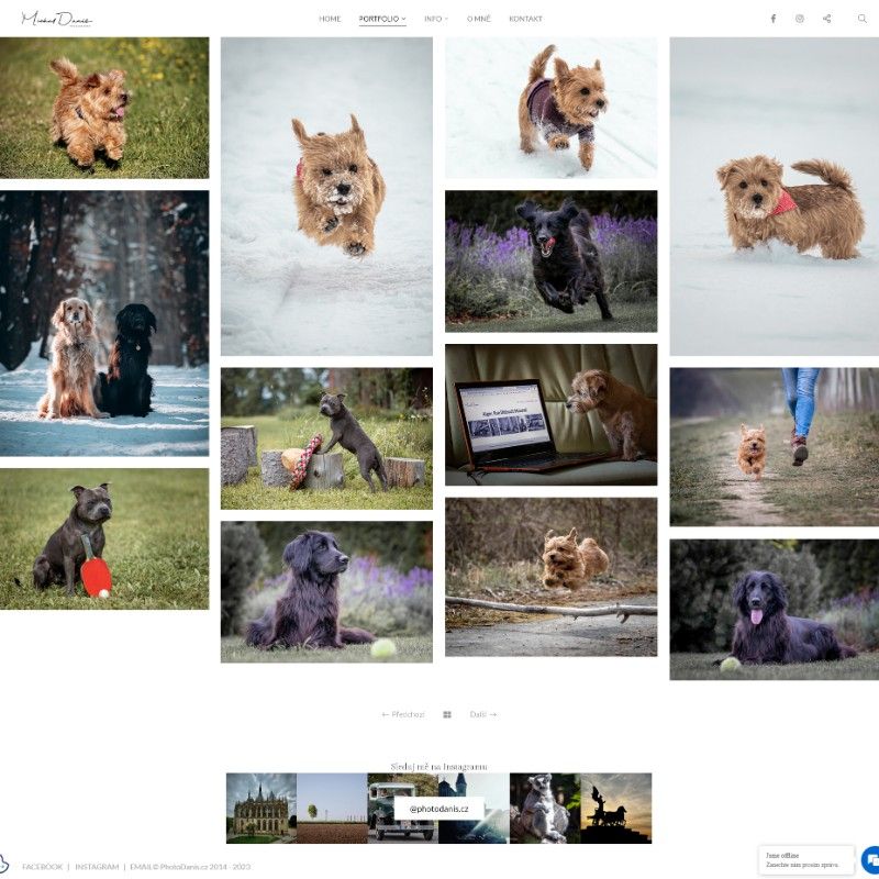 diseño minimalista del sitio web de fotografía de mascotas