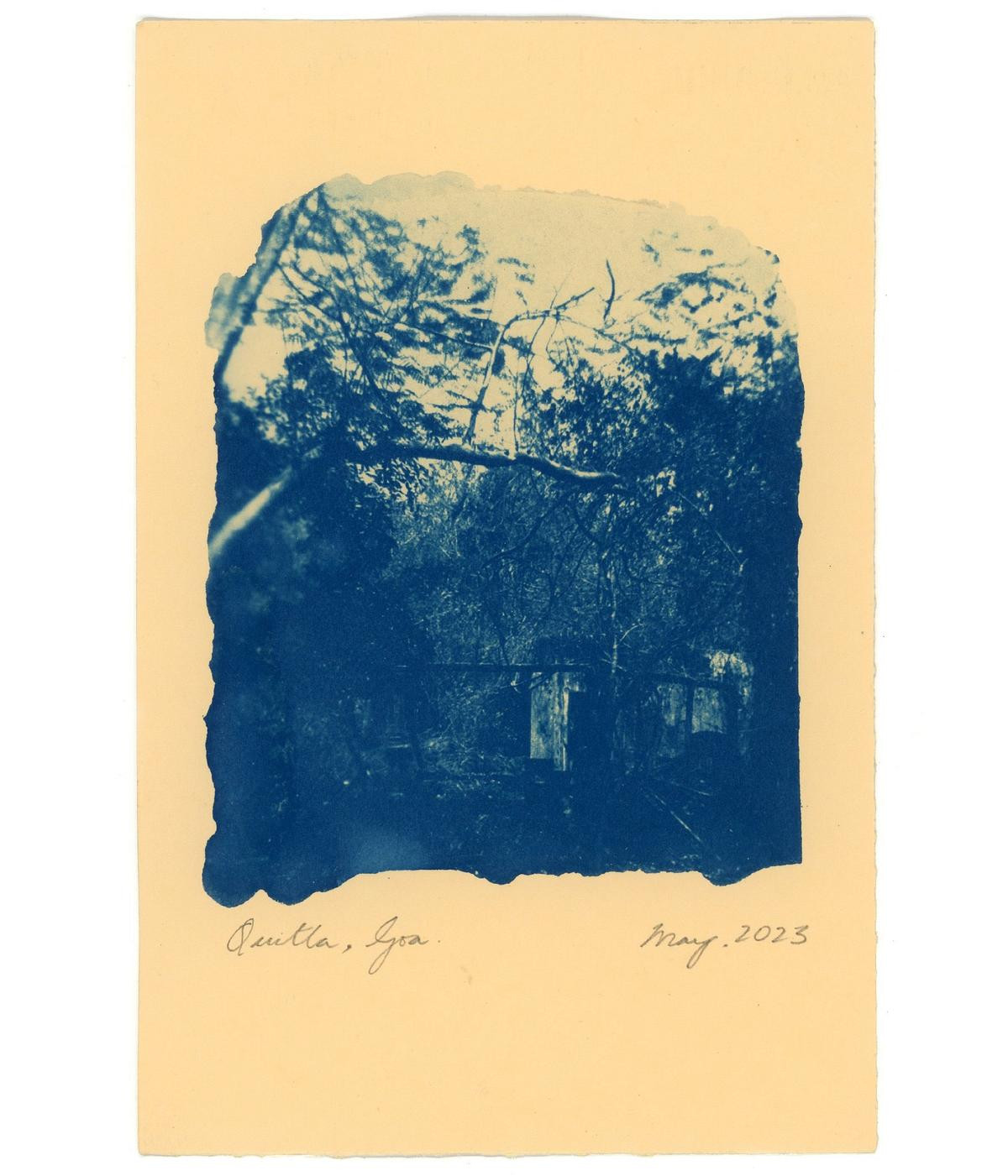 Cyanotype postcard