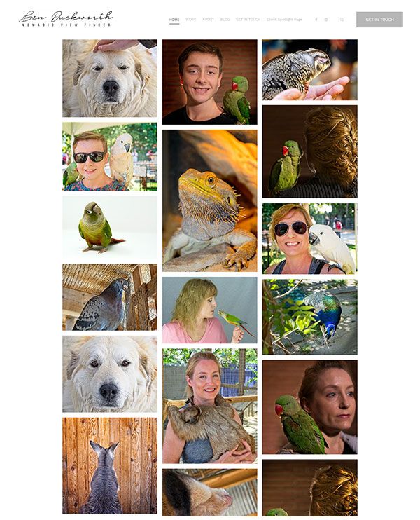 Ben Duckworth - Sitio web de fotografía de mascotas - Pixpa