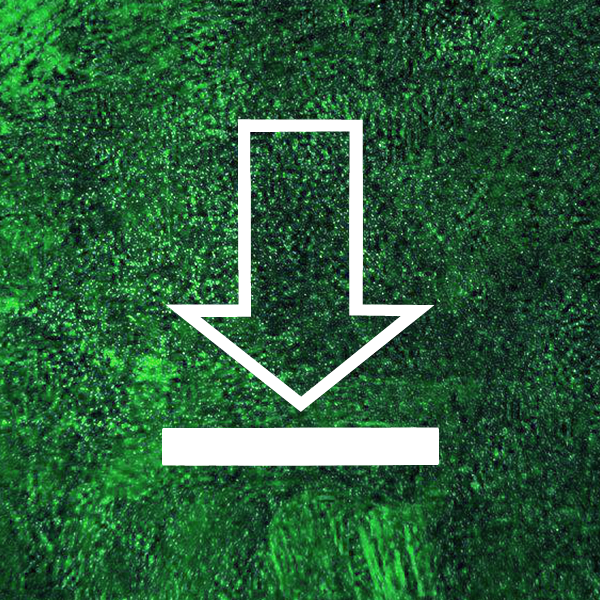 Writing Templates to Download