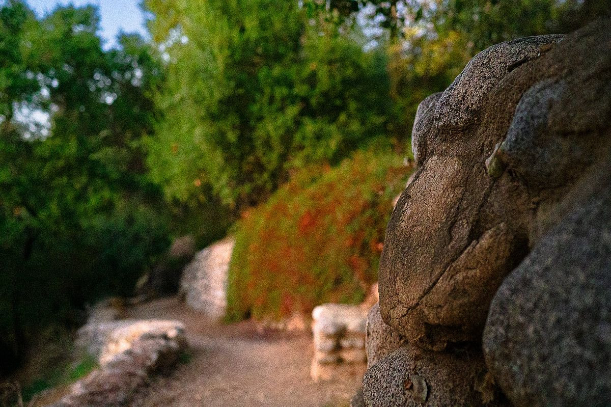 Beautiful greenery in the Lower Arroyo Seco Trail located in Pasadena