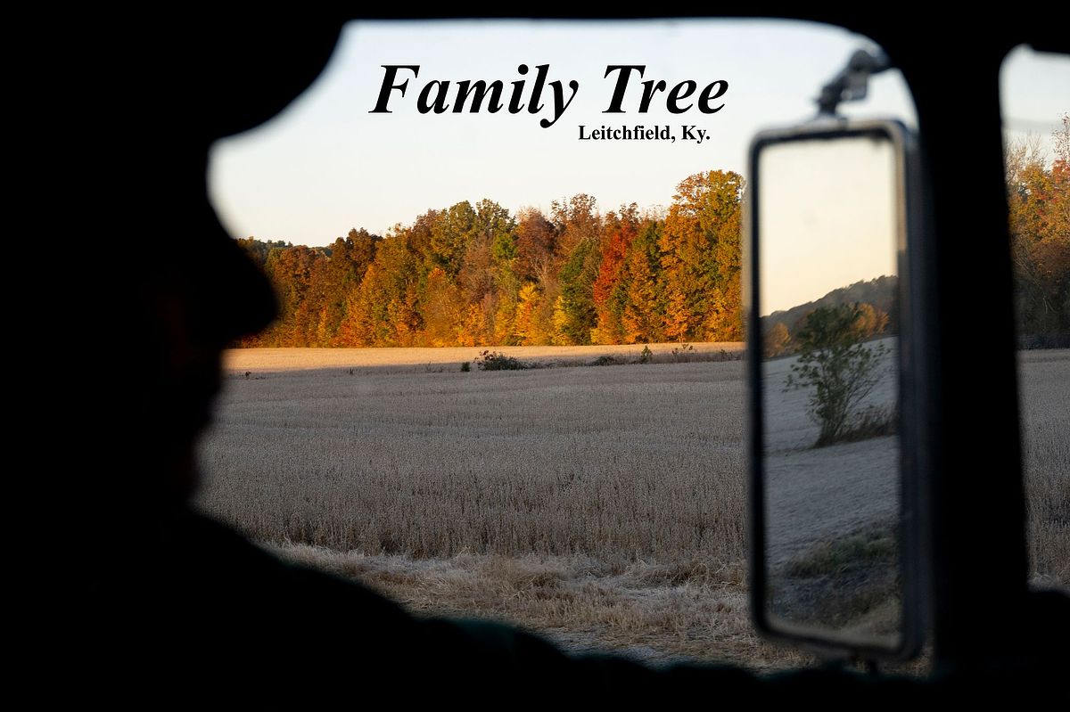 Family Tree kentucky, logging, fall, documentary, photojournalism