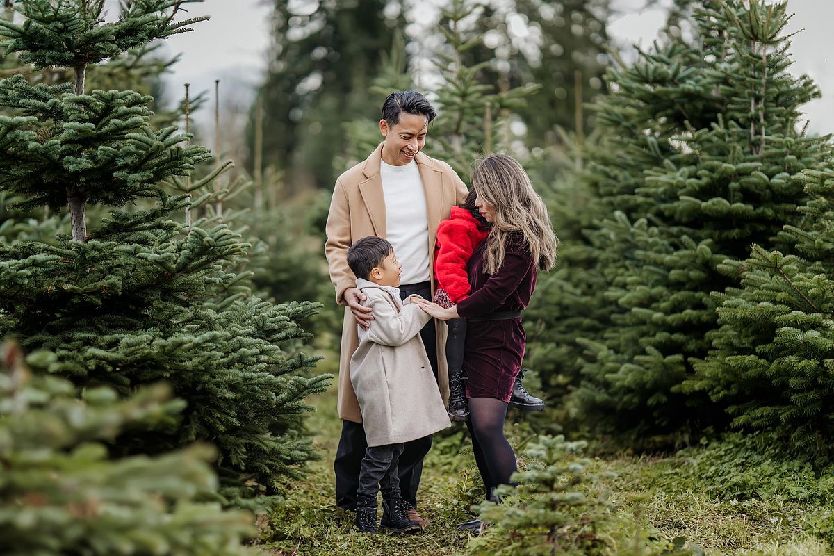 Christmas Tree Farm Mini Session