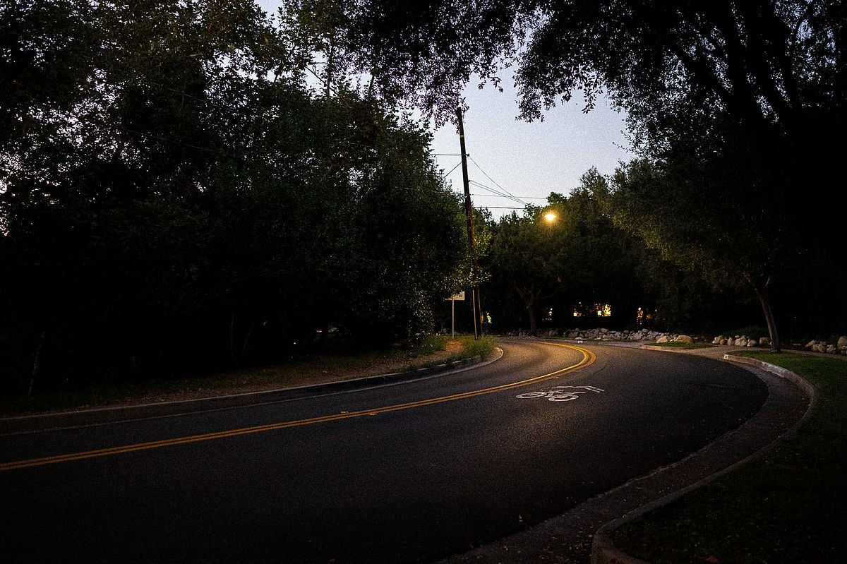 Beautiful trees located near the Desiderio Neighborhood Park
