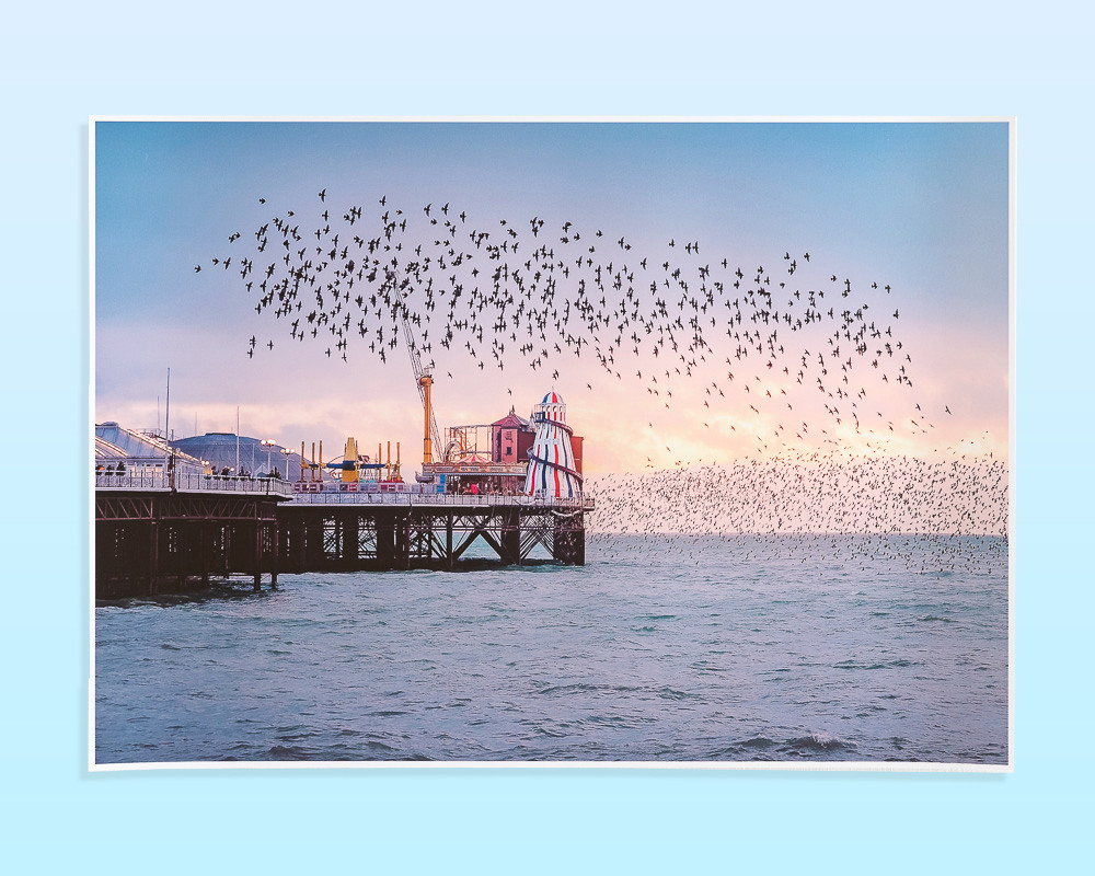 Brighton Pier Starling Murmuration Print