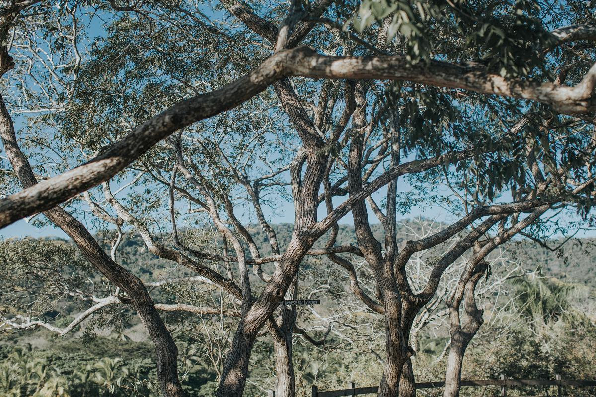 Elopement Costa Rica Photographer