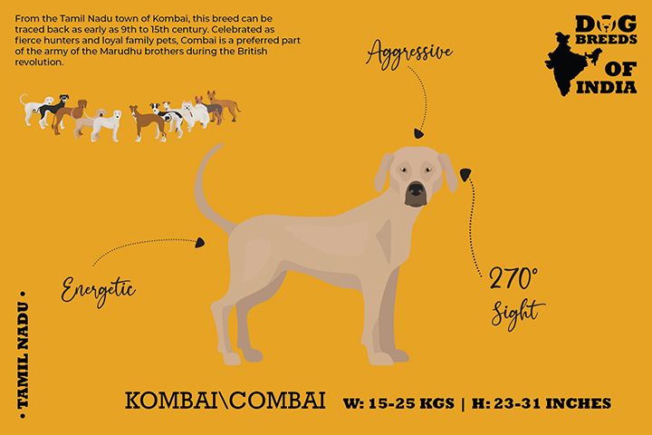 Kombai hot sale dog food