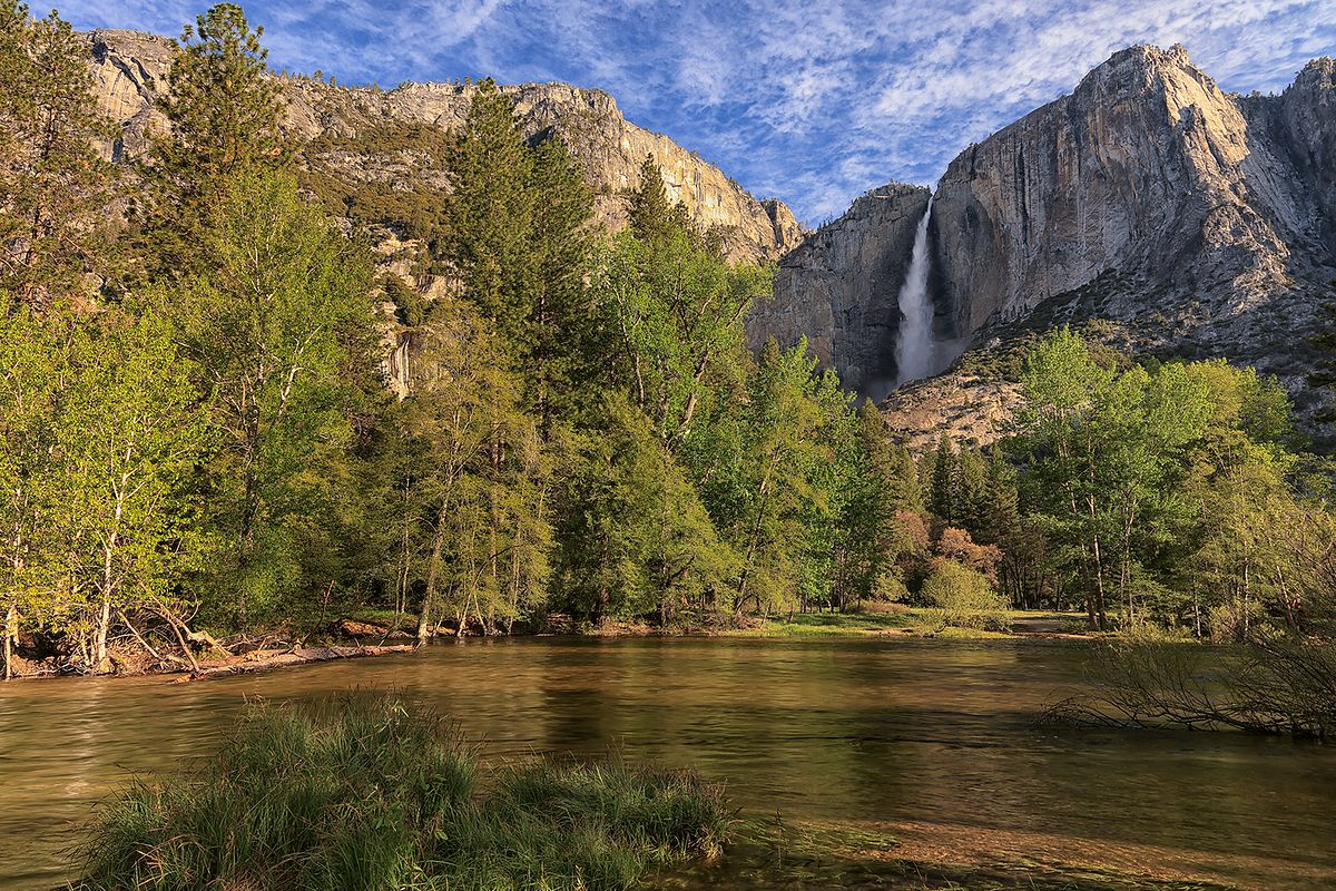 California By D Rex Miller