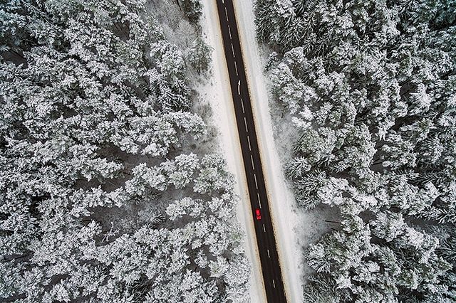 Fotografia de inverno -10 dicas para dominar a fotografia de neve (com exemplos)