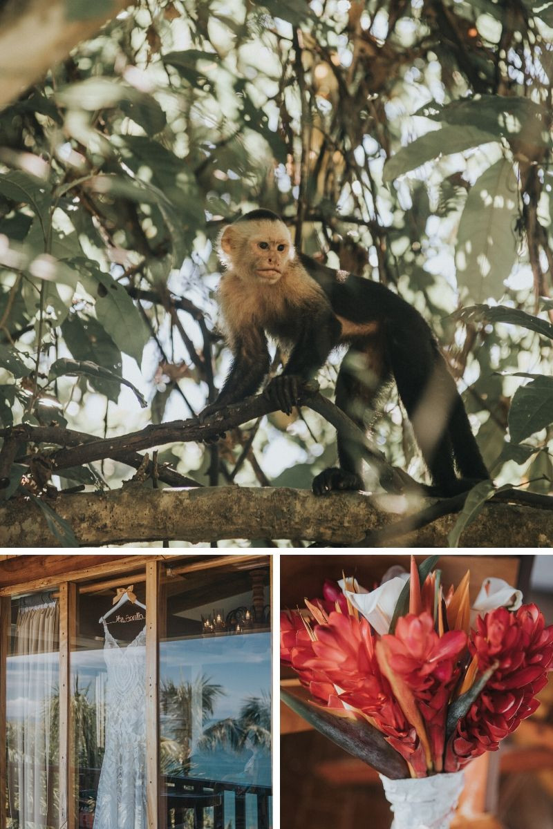 wedding in manuel antonio costa rica